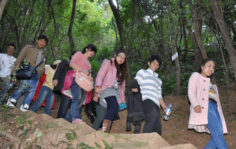 青龍峽位于昆明西郊安寧市青龍鎮(zhèn)滇中生態(tài)大峽谷中，景區(qū)有保存較為完好的植物群落，遮天蔽日的參天古木；有浪漫山花，野果飄香，還有清秀寧靜的田園風光。河谷沿岸古柳成蔭，幾十里的云南櫻花大道成為昆明郊游靚麗的風景線。景區(qū)中溪水潺潺，千姿百態(tài)、千奇百怪的蔓藤風光隨處可見，號稱“都市身旁的小九寨。